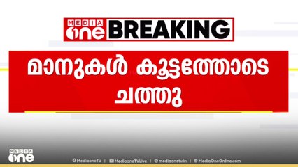 തൃശൂർ പാർക്കിൽ മാനുകൾ കൂട്ടത്തോടെ ചത്തു; ഇന്നലെ ചത്തത് പത്ത് മാനുകൾ