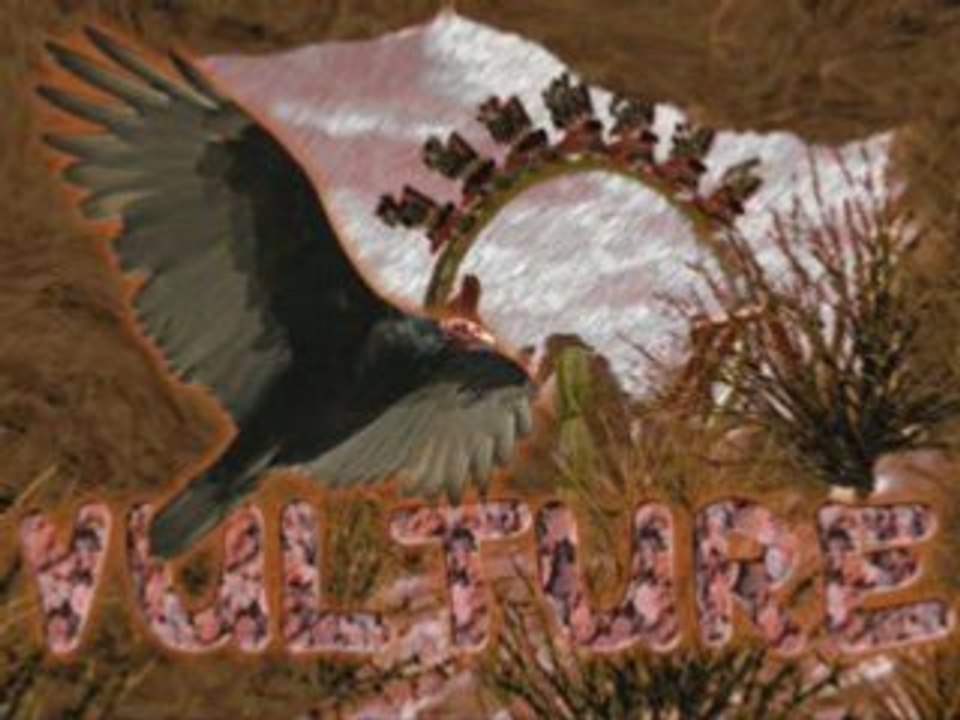 Roller coaster tycoon 3 : Vulture