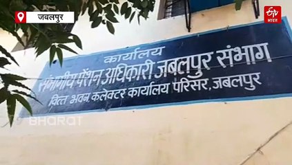 68 साल का शख्स 54 साल की दुल्हन को दिलाने पहुंचा पेंशन, रोड़ा लगाने वाला अधिकारी पहुंचा जेल