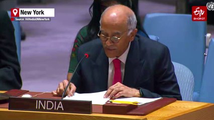 India Tells UNSC It Has Suffered From Cross-Border Terror, Illicit Arms Trafficking