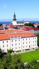 La sustituta del jefe de la mafia ES #ReelShort