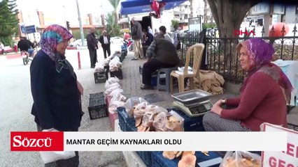 Mantar geçim kaynakları oldu
