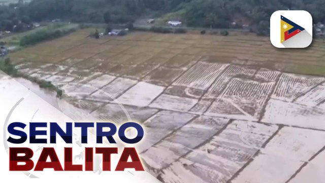 Nasa P1-B tulong sa mga nasalantang magsasaka at mangingisda, nakahanda ayon sa D.A.