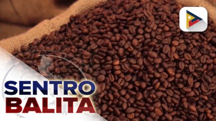 Industriya ng kape ng Sultan Kudarat, mas palalakasin pa; D.A., magbibigay ng de kalidad na coffee seedlings sa mga magsasaka | ulat ni Crisver Hinayon - PIA SOCCSKSARGEN