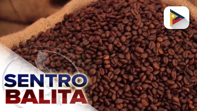 Industriya ng kape ng Sultan Kudarat, mas palalakasin pa; D.A., magbibigay ng de kalidad na coffee seedlings sa mga magsasaka | ulat ni Crisver Hinayon - PIA SOCCSKSARGEN