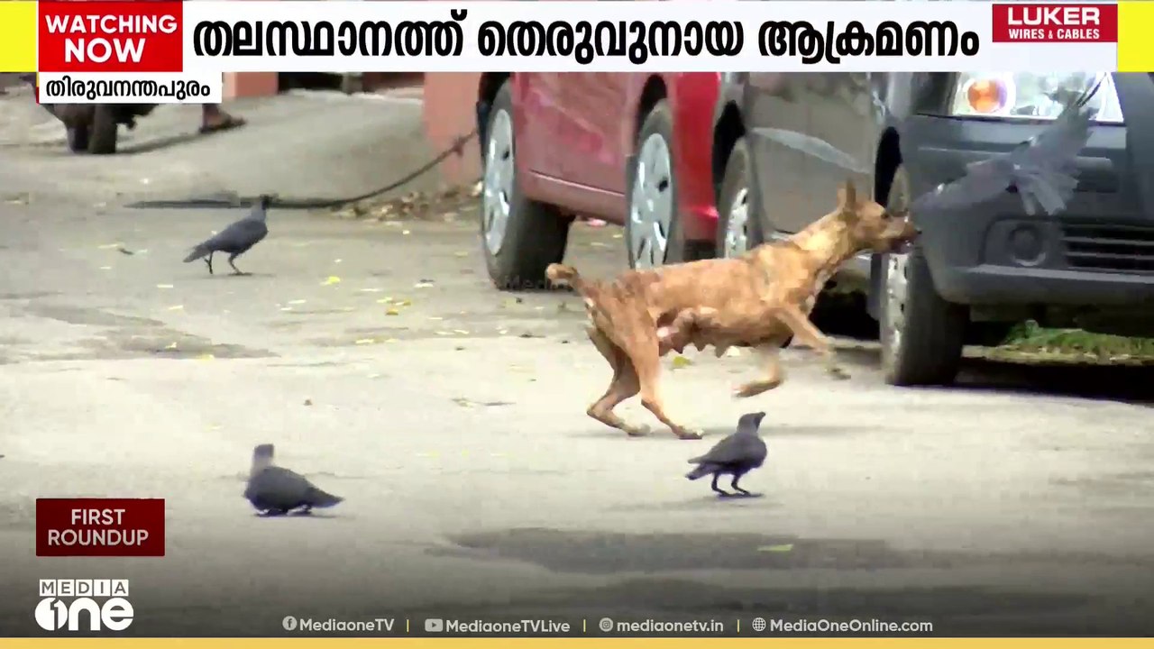 തിരുവനന്തപുരം മ്യൂസിയം വളപ്പിൽ തെരുവുനായ ആക്രമണ...