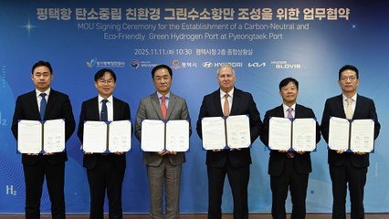 [기업] 현대차, 평택항에 '탄소 중립' 그린수소 항만 구축 / YTN