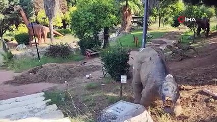 Türkiye'nin dinazor mezarlığı görüntülendi: Sadece 1 yılda bu hale geldi...