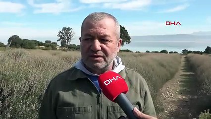 Türkiye'nin bir zamanlar masmavi cennetiydi... Şimdi ise ''gözyaşları'' havadan görüntülendi