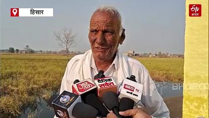 हिसार में सैकड़ों एकड़ खेती की जमीन पर जमा है बारिश का पानी, पहले फसलें बर्बाद हुई, अब बिजाई में दिक्कत