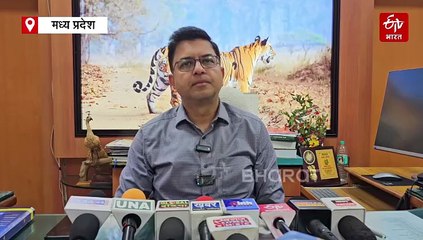 मंडला में जंगली हाथी हुए मदमस्त, रात भर धमाचौकड़ी मचाते खेतों में घुसे