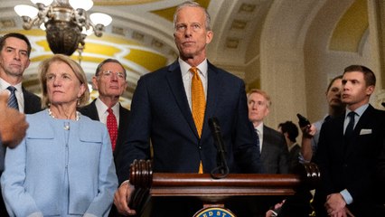 Las claves de la división de los demócratas por el cierre de Gobierno en EEUU: "Es el símbolo de la crueldad política"