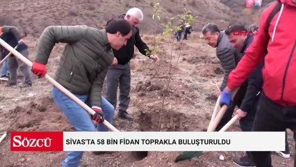 Sivas'ta 58 bin fidan toprakla buluşturuldu