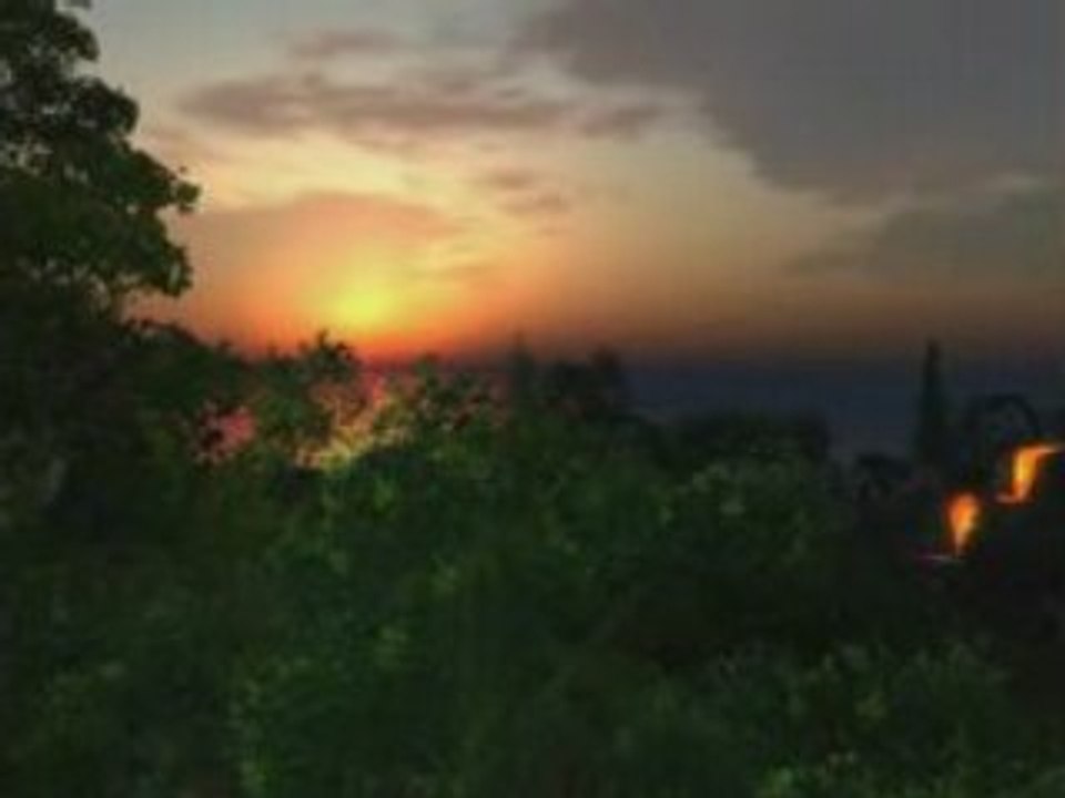 Second Life Botanical Straylight seventuriza Trailer 5