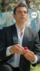 Three millionaires, one choice💍✨️