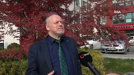 Karadeniz'de üreticinin kabusu olmuştu: Şimdi Marmara'da görüldü