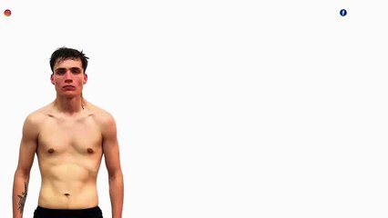 DFC-46 Premium Sines