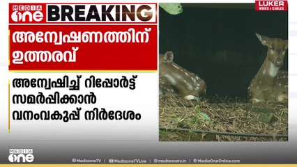 തൃശൂർ സുവോളജിക്കൽ പാർക്കിലെ തെരുവുനായ ആക്രമണം: വിശദമായ അന്വേഷണത്തിന് ഉത്തരവിട്ട് വനംവകുപ്പ്