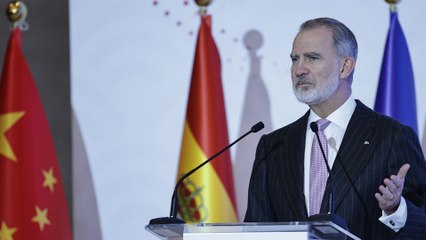 Felipe VI en China: "Cuando trabajamos juntos multiplicamos nuestra proyección internacional"