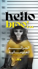 الجرائم المعلوماتية في سوريا