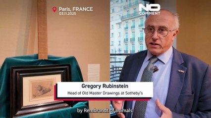 Raro disegno di un leone di Rembrandt, vecchio di 400 anni, va all'asta