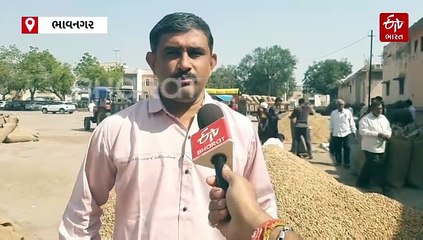 ટેકાના ભાવે મગફળી વેચવા 50માંથી 10 જેટલા ખેડૂતો આવી રહ્યા છે, મગફળીનું નુકસાન પણ જણાવે છે ખેડૂતો