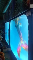 Ethics, Natures & News