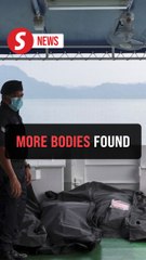 Malaysia retrieves more bodies in search for missing Rohingya