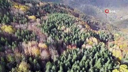 Kastamonu’da Osman’ın cansız bedenine ulaşılan alan böyle görüntülendi