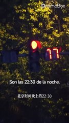 CariñO, Te Amo. En Cuanto Al CumpleañOs De Mi Esposa, Me Importa Un Comino