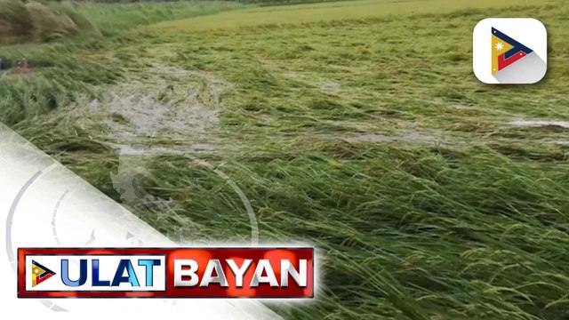 Bagyong #UwanPH, nag-iwan ng P142.29-M kabuuang pinsala sa agrikultura