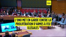 L'ONU met en garde contre la prolifération d'armes à feu illégales