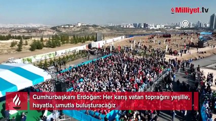Cumhurbaşkanı Erdoğan: Bugün fidan dikme rekorunu inşallah kıracağız