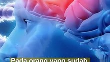 Penyebab Orang Pikun, Ilmuwan Temukan Cara Tingkatkan Daya Ingat