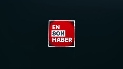 Gürcistan hava sahasında C-130 askeri kargo uçağı düştü