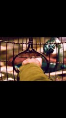 Slept With Her For ANTIDOTE 🐍🤝💃#movisrecaps #atoplay