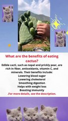 What are the benefits of eating cactus