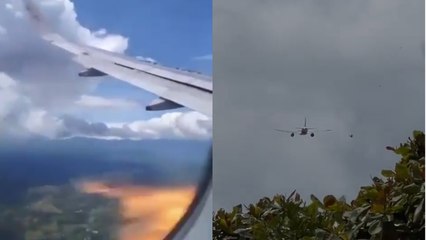 ¿Qué tan comunes son los accidentes de aviones con aves?