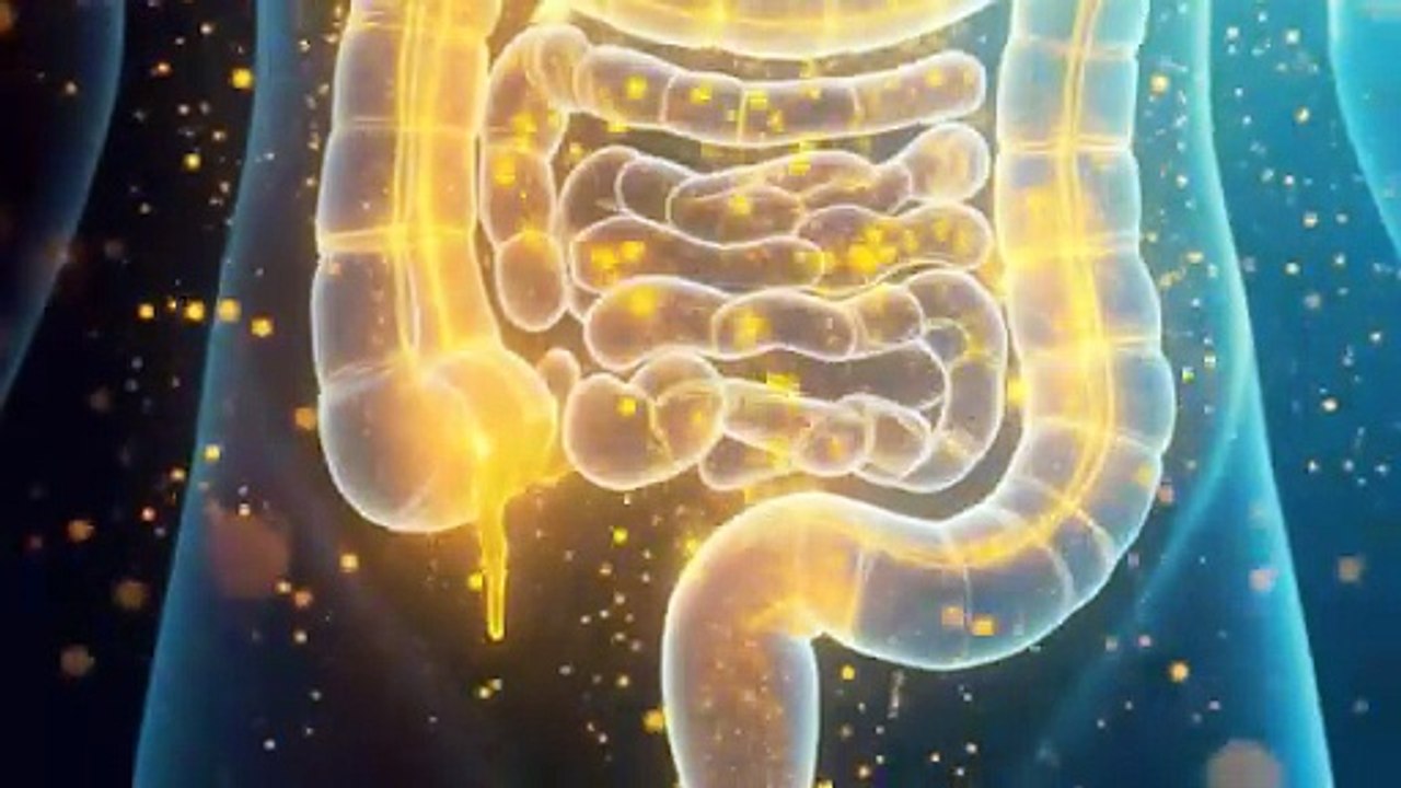121125_möllersculturelle_masthead_video