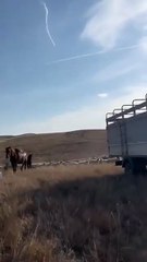 MSB: C-130 tipi askeri kargo uçağımız düştü