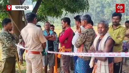 ଫସଲ ଜଗିବାକୁ ଯାଇଥିଲେ; ଅନ୍ଧାରେ ଦଳିଦେଲା ହାତୀ, 2 ଚାଷୀ ମୃତ