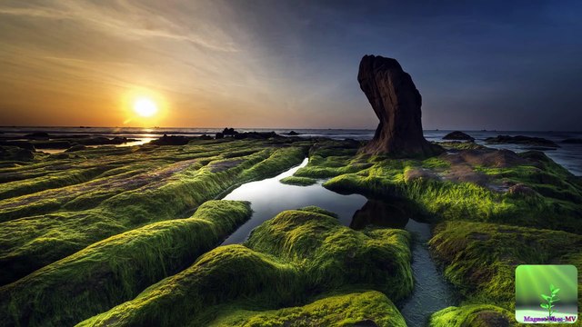 Thailand│ Bangkok│Thailand travel│Amazingthailand│Travelthailand│Bangkok│Phuket│Thailandtravel│Chiangmai│Thailandtrip│Pattaya│Thaifood│Thai beaches│Travel│Photography│Nature │Beach│Vacation│Muaythai │Sea & Beaches│Sunset│Traveltheworld│Southeastasia│Trip