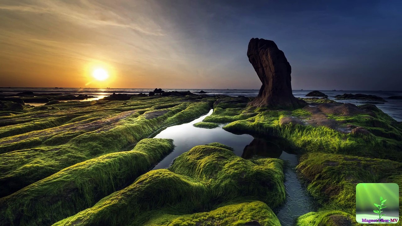 Thailand│ Bangkok│Thailand travel│Amazingthailand│Travelthailand│Bangkok│Phuket│Thailandtravel│Chiangmai│Thailandtrip│Pattaya│Thaifood│Thai beaches│Travel│Photography│Nature │Beach│Vacation│Muaythai │Sea & Beaches│Sunset│Traveltheworld│Southeastasia│Trip