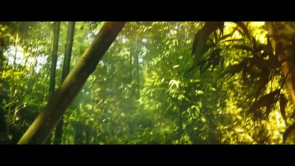 Kong: Skull Island (2017) 4K - Giant Spider Ambush Scene | Movieclips