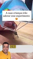 🔬 Desperte o Cientista Mirim! ✨ Experimento Simples que Fascina #crianças ! 🤩