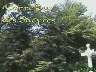 Forêt de Compiègne : carrefour du dragon et alentour