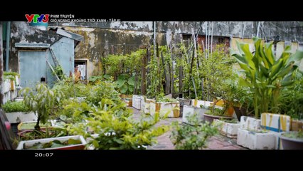 Gió Ngang Khoảng Trời Xanh - Tập 41: Khám Phá Những Bí Mật Đầy Cảm Xúc 🌬️