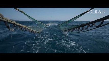 Watch the clip that shocked the world: Bottom trawling can wipe out centuries-old ocean habitats in minutes. Ocean, co-directed by Haslemere’s Colin Butfield and narrated by David Attenborough, shows what’s at stake
