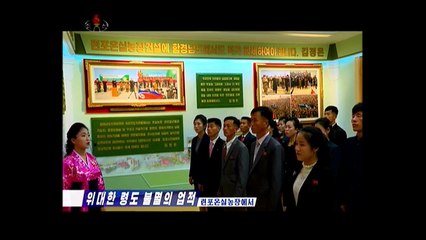 Grande liderança, feitos imortais