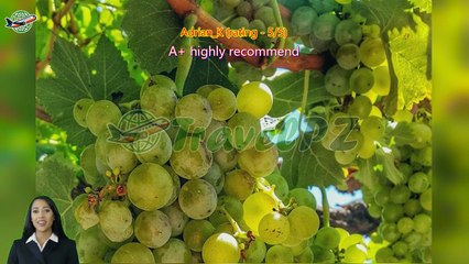 「TravelPZ」 Review Full-Day Tour Cafayate Calchaqui Valleys with Wine